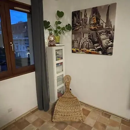 Le Spacieux Proche Centre Ville Strasburgo Esterno foto